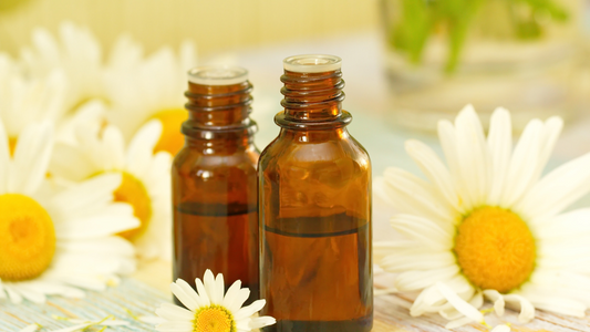 Chamomile Essential Oil