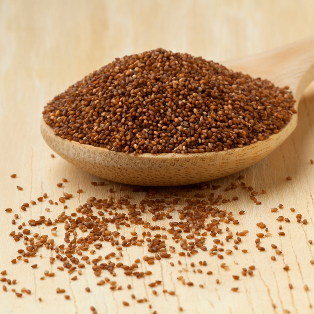 Brown Teff